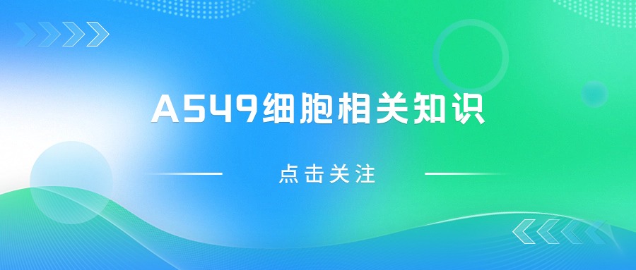 關(guān)于A549細(xì)胞，您不得不知道的一些操作