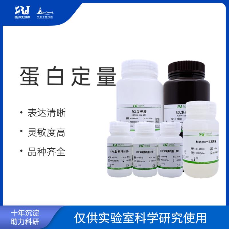 蛋白標(biāo)準(zhǔn)品（5mg/ml）